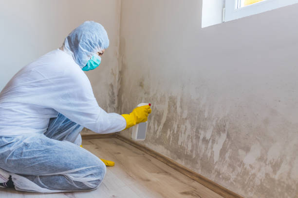 Forensic Mold Investigation in Fort Pierce South, FL