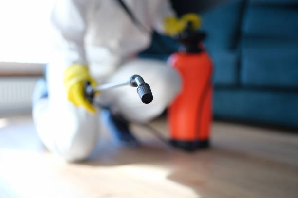 Best Mold Prevention Services  in Fort Pierce South, FL